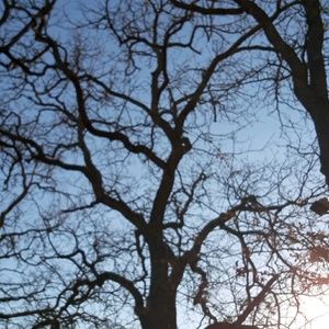 Meet your Posher, Suzanne